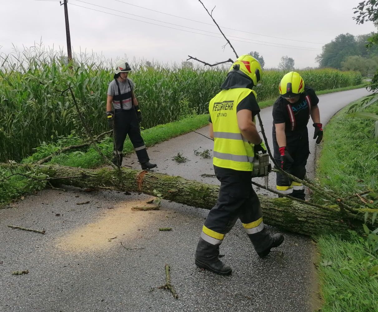 Baum blockiert Straße