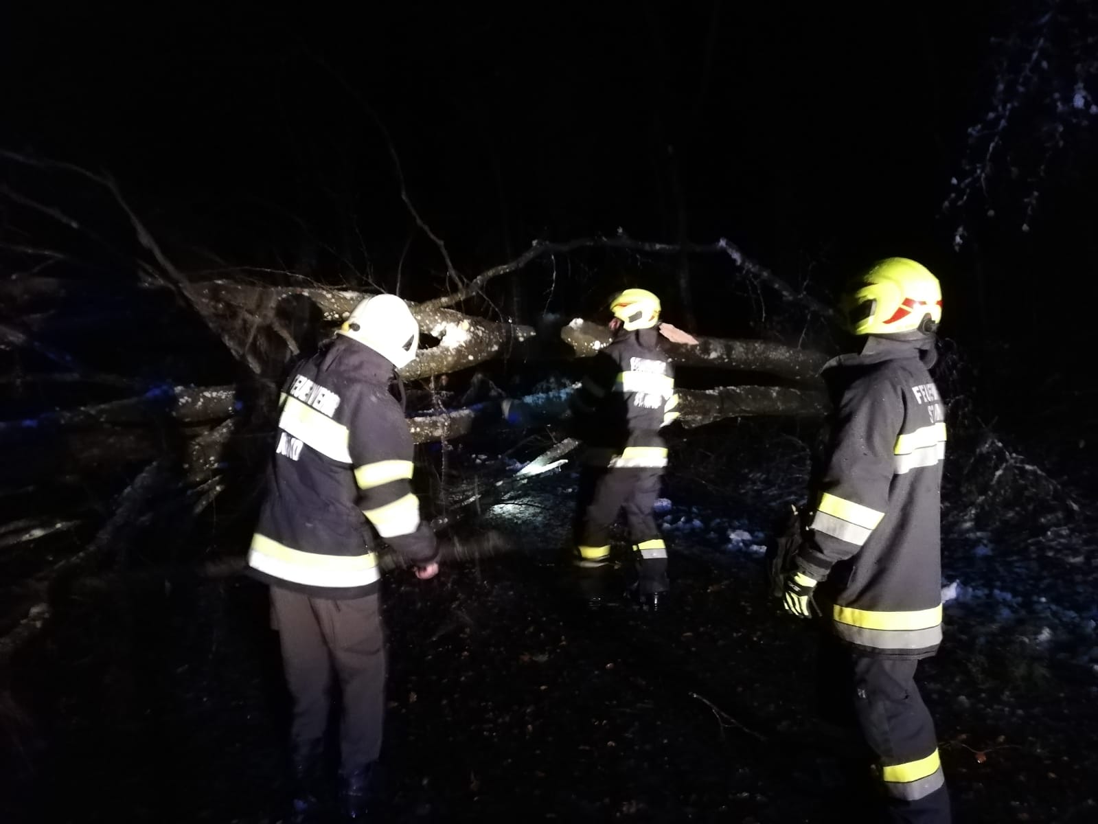 Baumbergung Reigersbergweg